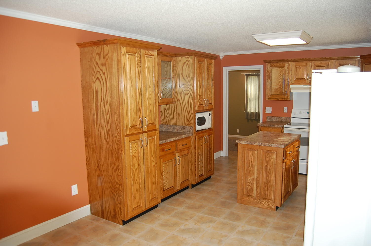 56 View Street Kimball, TN 37347 - Photo 20 of 37 56 View St. - Spring Photo's 020.JPG