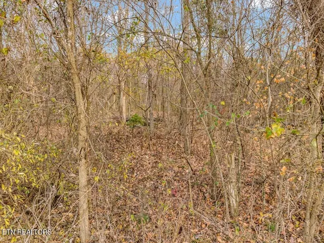 $350,000 | 4934 North York Highway, Pall Mall, TN 38577