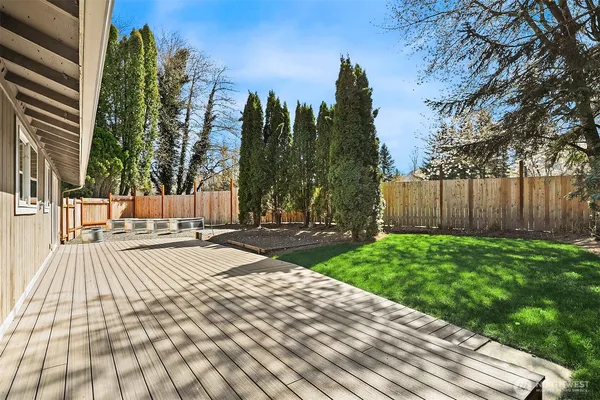 a view of a backyard with palm trees
