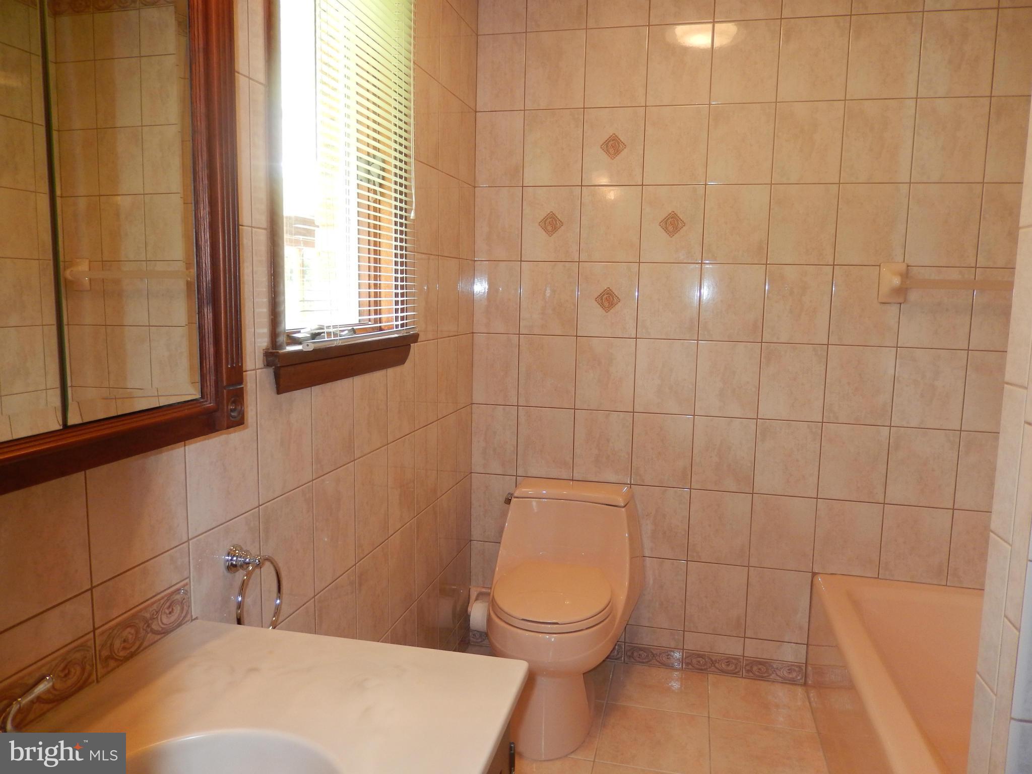 3905 Eland Road Phoenix, MD 21131 - Photo 14 of 20 Master Bath