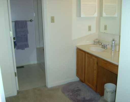 1160 Old Farm Road Lawrence, PA 15055 - Photo 6 of 8 Master Bath/Spa.