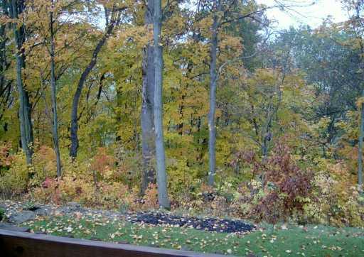 1160 Old Farm Road Lawrence, PA 15055 - Photo 7 of 8 View.