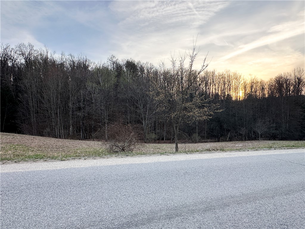 Lot 10 Brennan Road Addison, NY 14801 - Photo 25 of 29 Gallery Image 25