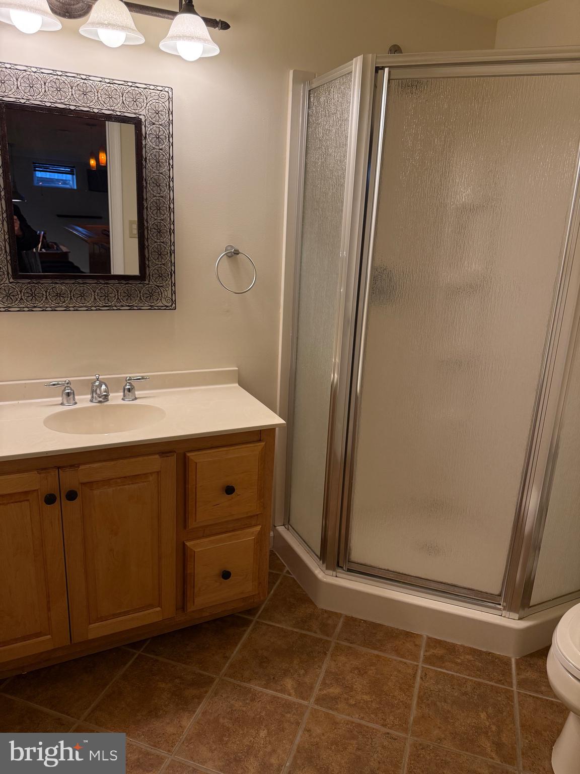 3009 Timothy Trail Audubon, PA 19403 - Photo 30 of 35 Full Bath in Basement