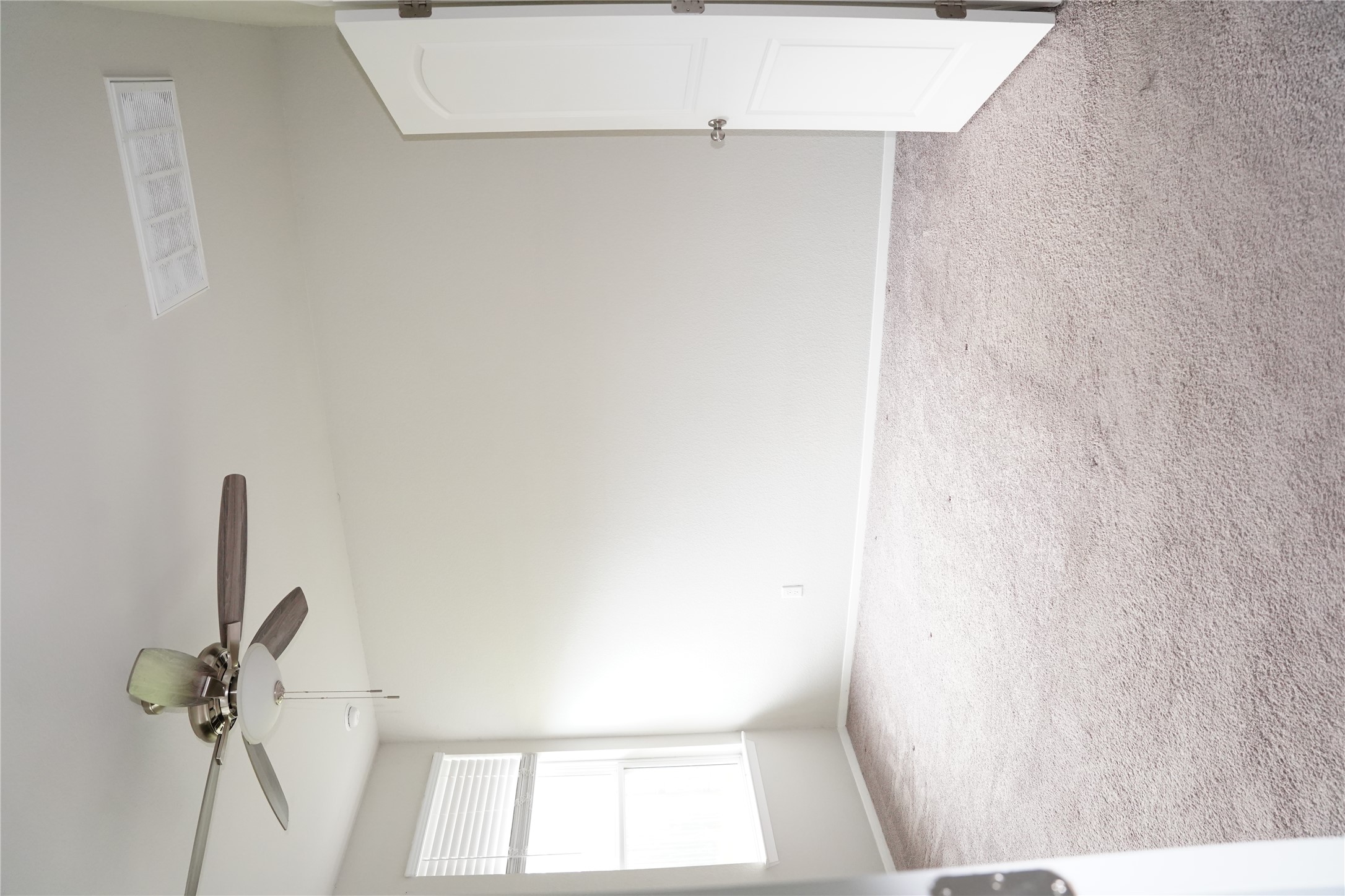 117 Crescent Street Georgetown, TX 78626 - Photo 17 of 38 An airy bedroom with plush carpet flooring offers a bright, inviting atmosphere.