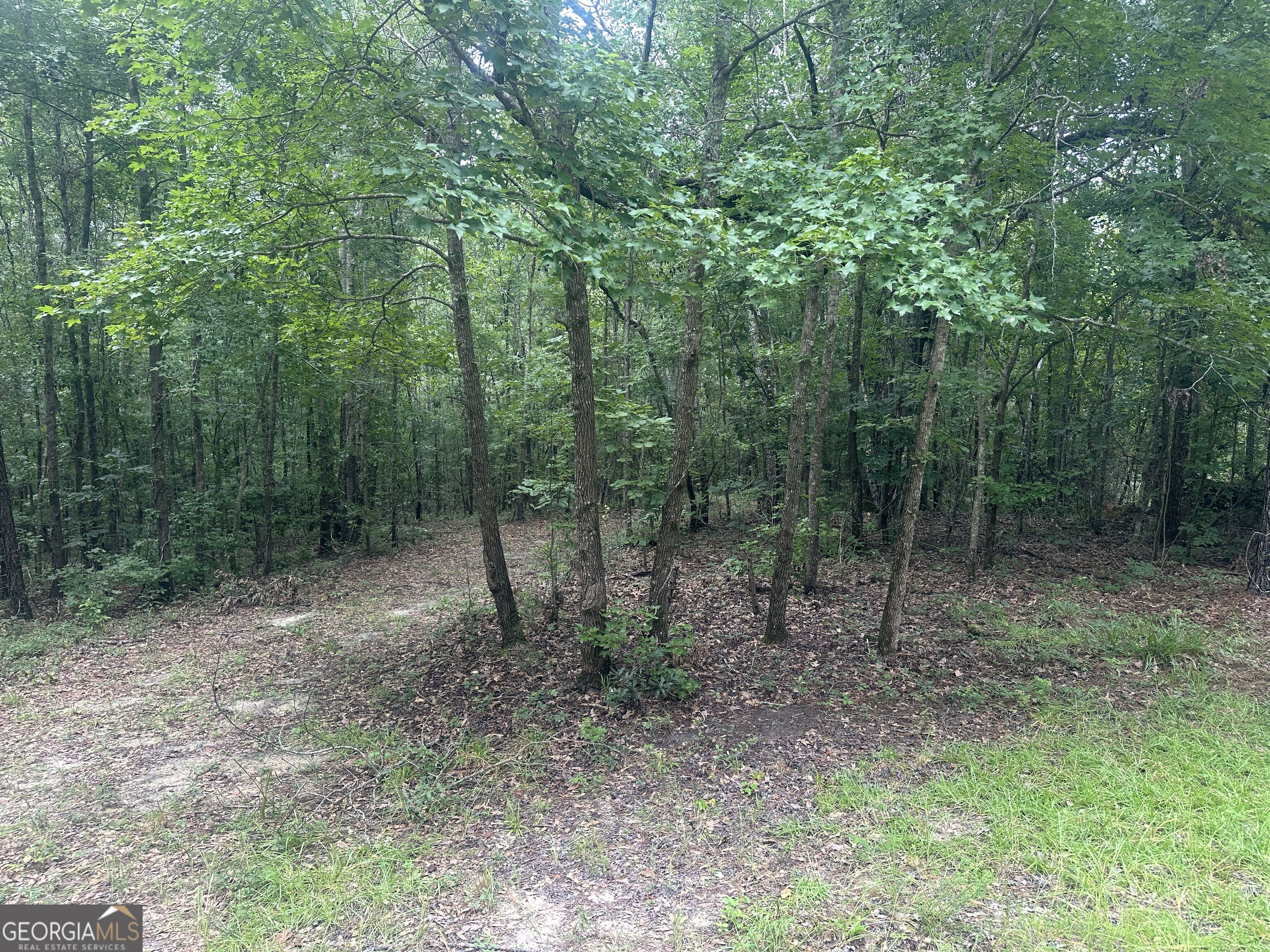 3693 Joyner-Oglesby Road Sardis, GA 30456 - Photo 31 of 32 Gallery Image 31