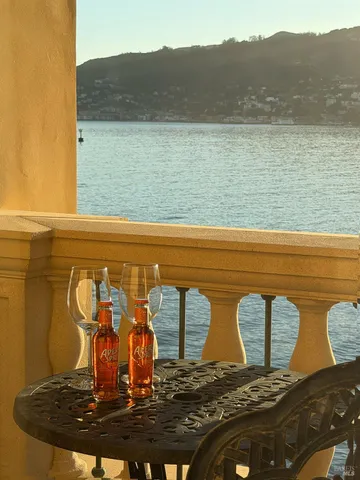 $19,800,000 | 125 Belvedere Avenue, Belvedere, CA 94920