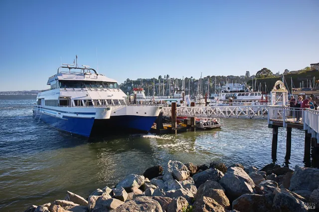 $19,800,000 | 125 Belvedere Avenue, Belvedere, CA 94920