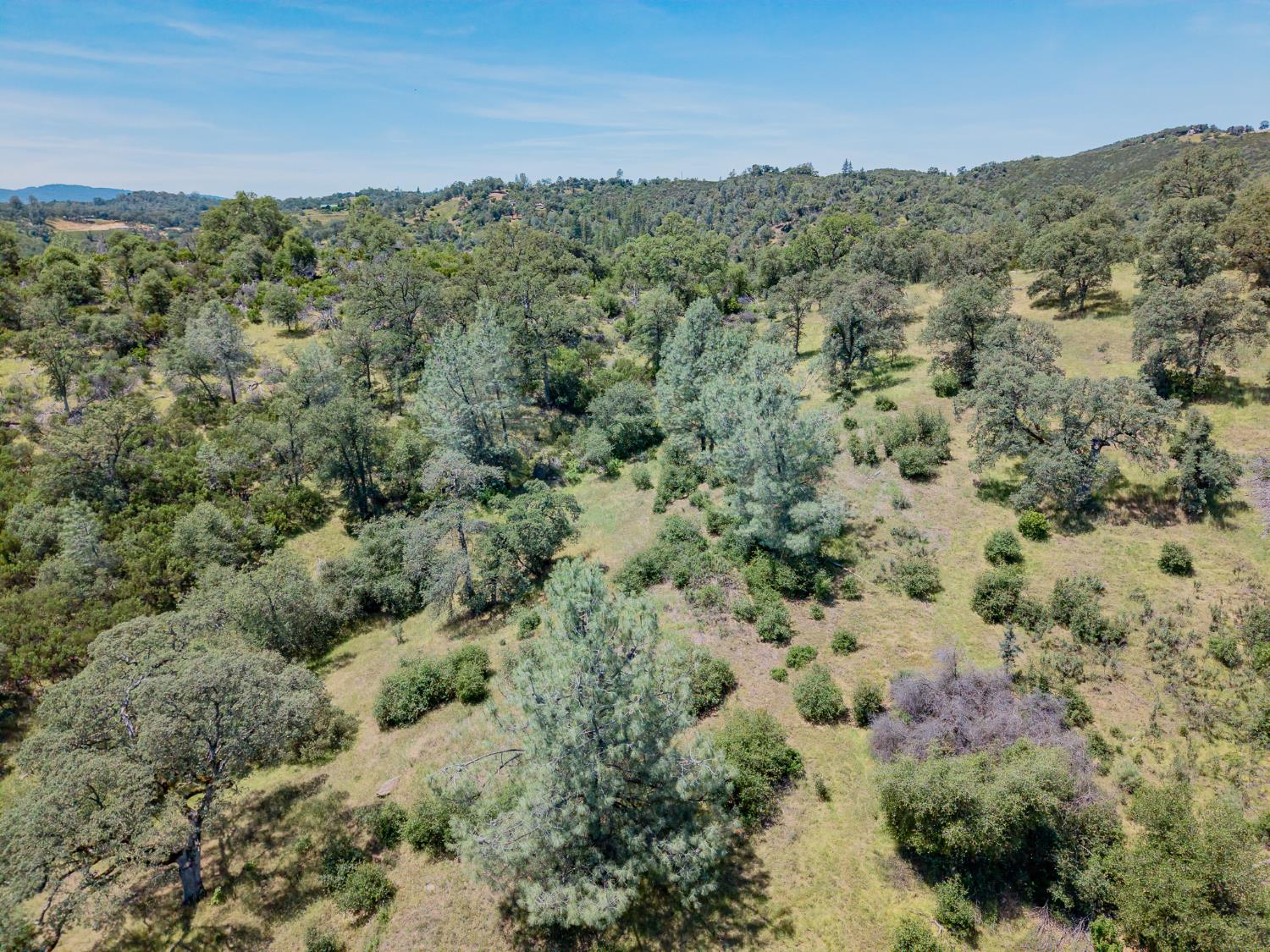 5912 Old Gulch Road San Andreas, CA 95249 - Photo 56 of 71