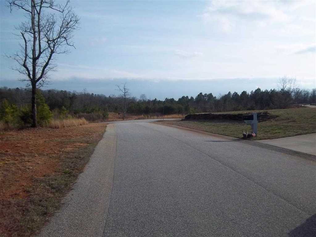 Lot 28 Silver Ridge Drive Central, SC 29630 - Photo 2 of 8