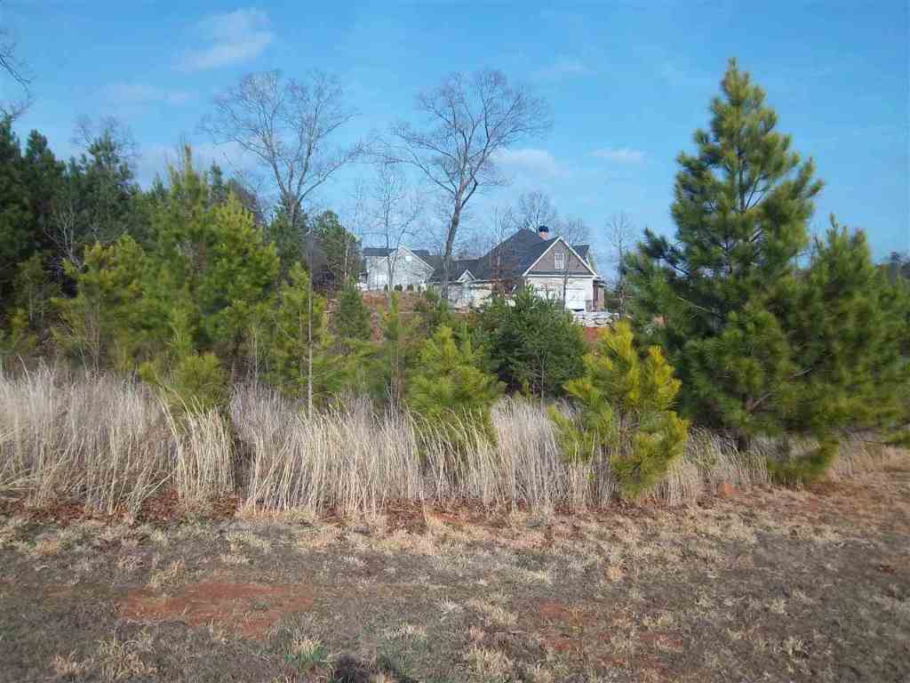 Lot 28 Silver Ridge Drive Central, SC 29630 - Photo 3 of 8