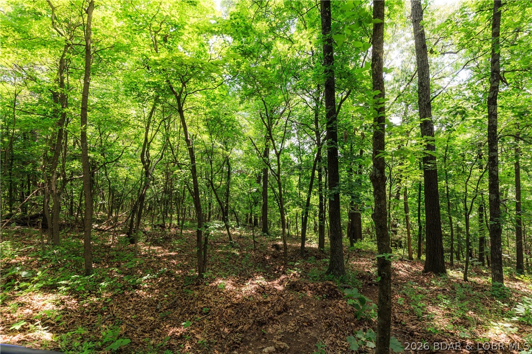 400 Hidden Acres Road Camdenton, MO 65020 - Photo 11 of 39