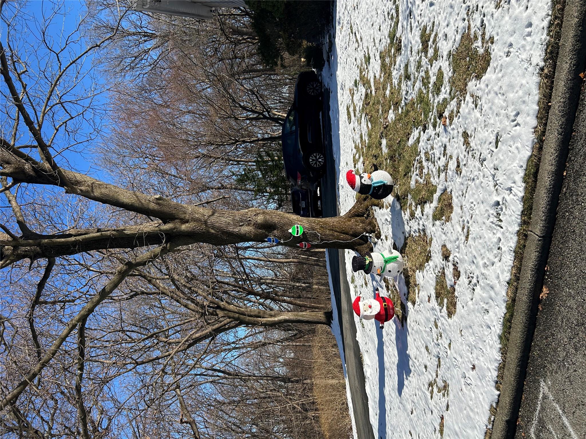View of yard layered in snow