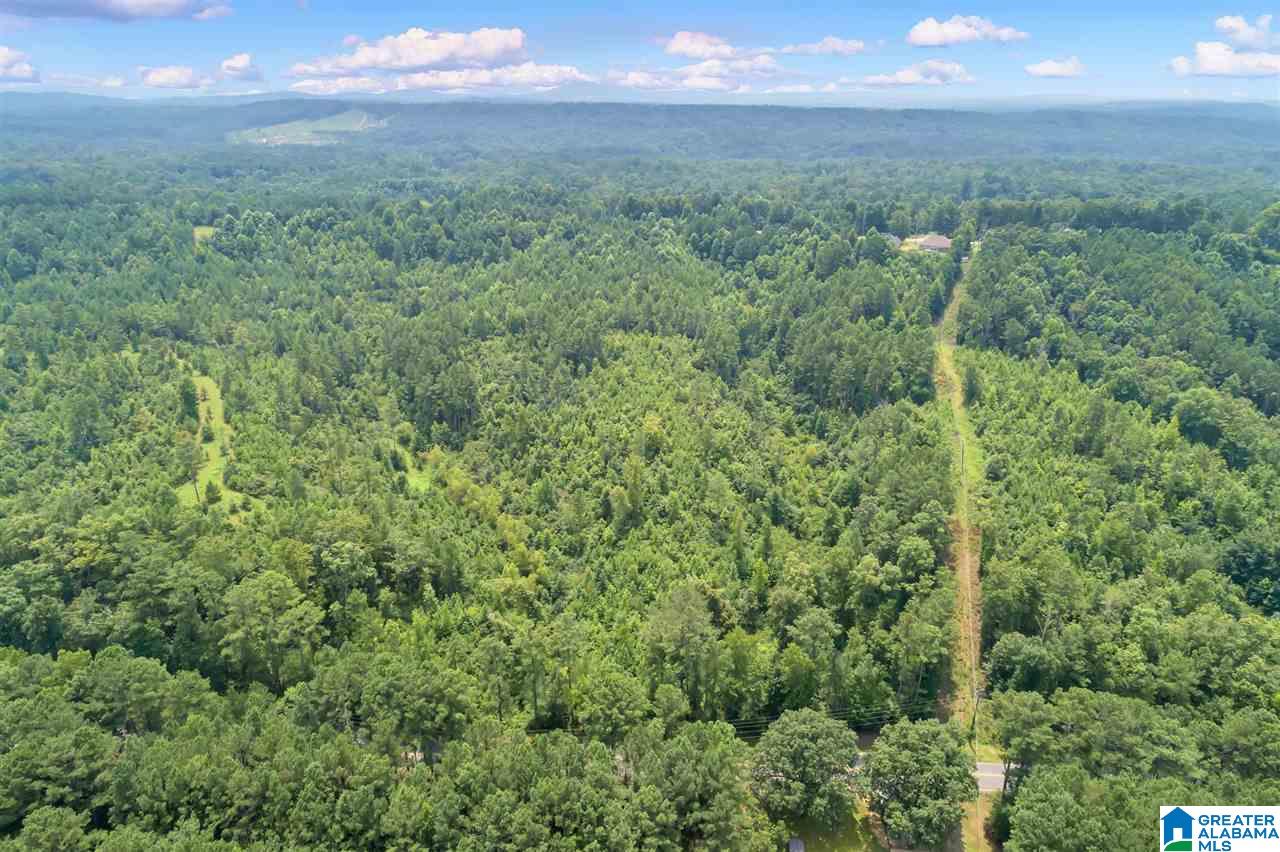 4472 Mountain View Road Odenville, AL 35120 - Photo 3 of 9