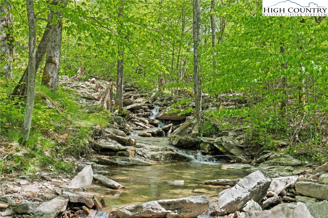 140 Spruce Hollow Road Beech Mountain, NC 28604 - Photo 41 of 50 a view of lake view