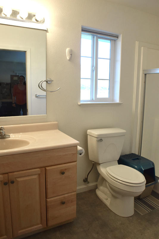28899 Whitmore Road Whitmore, CA 96096 - Photo 21 of 43 Bathroom 2