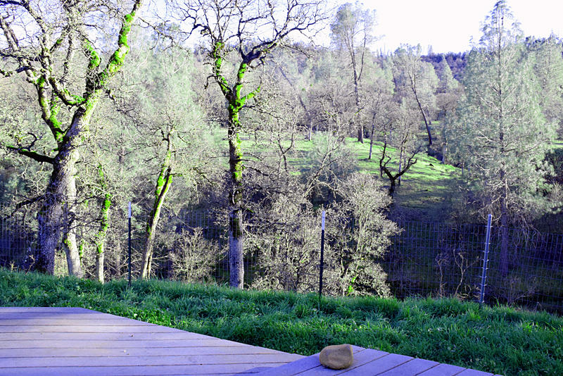 28899 Whitmore Road Whitmore, CA 96096 - Photo 25 of 43 View across creek from deck