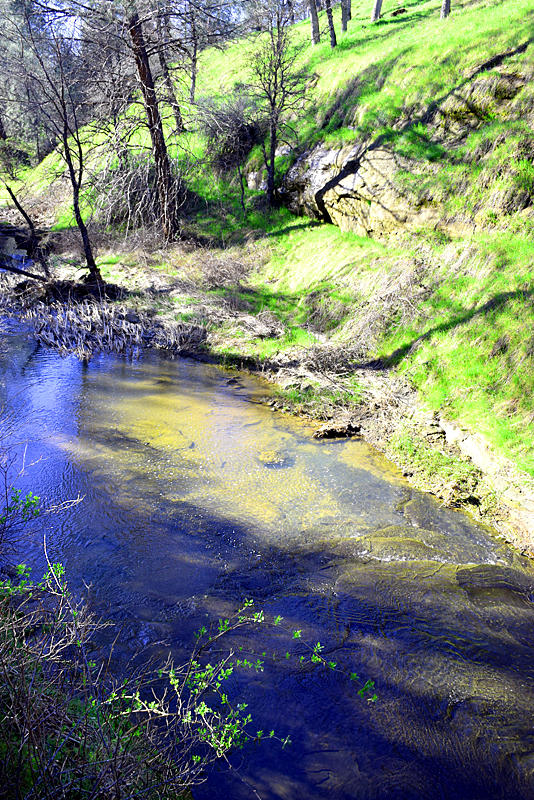 28899 Whitmore Road Whitmore, CA 96096 - Photo 30 of 43 View of creek