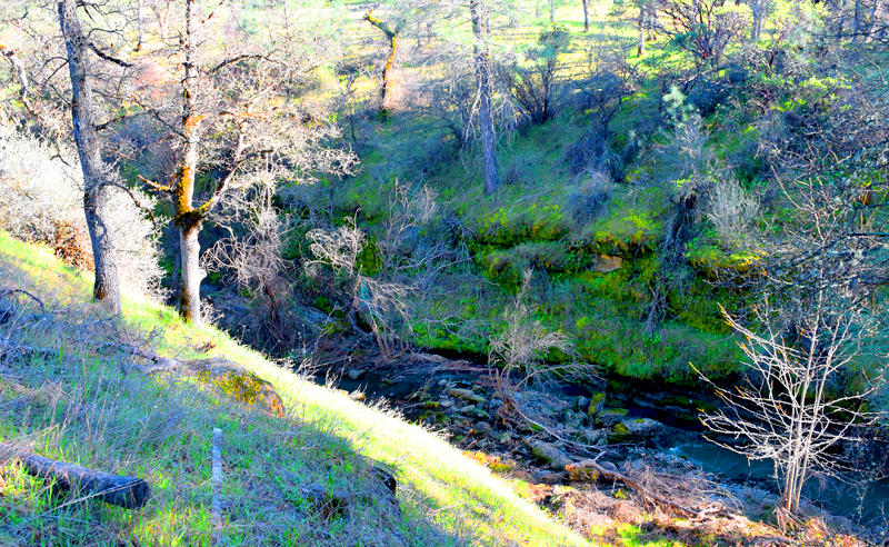 28899 Whitmore Road Whitmore, CA 96096 - Photo 31 of 43 Creek below
