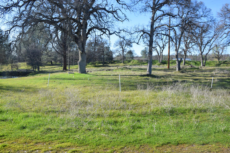 28899 Whitmore Road Whitmore, CA 96096 - Photo 36 of 43 Plenty of irrigation