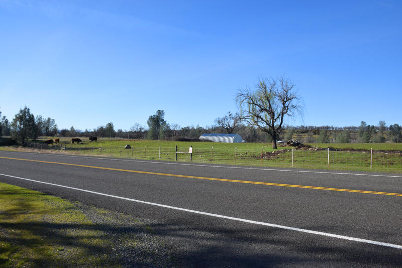 28899 Whitmore Road Whitmore, CA 96096 - Photo 39 of 43 Ranch across the road 1