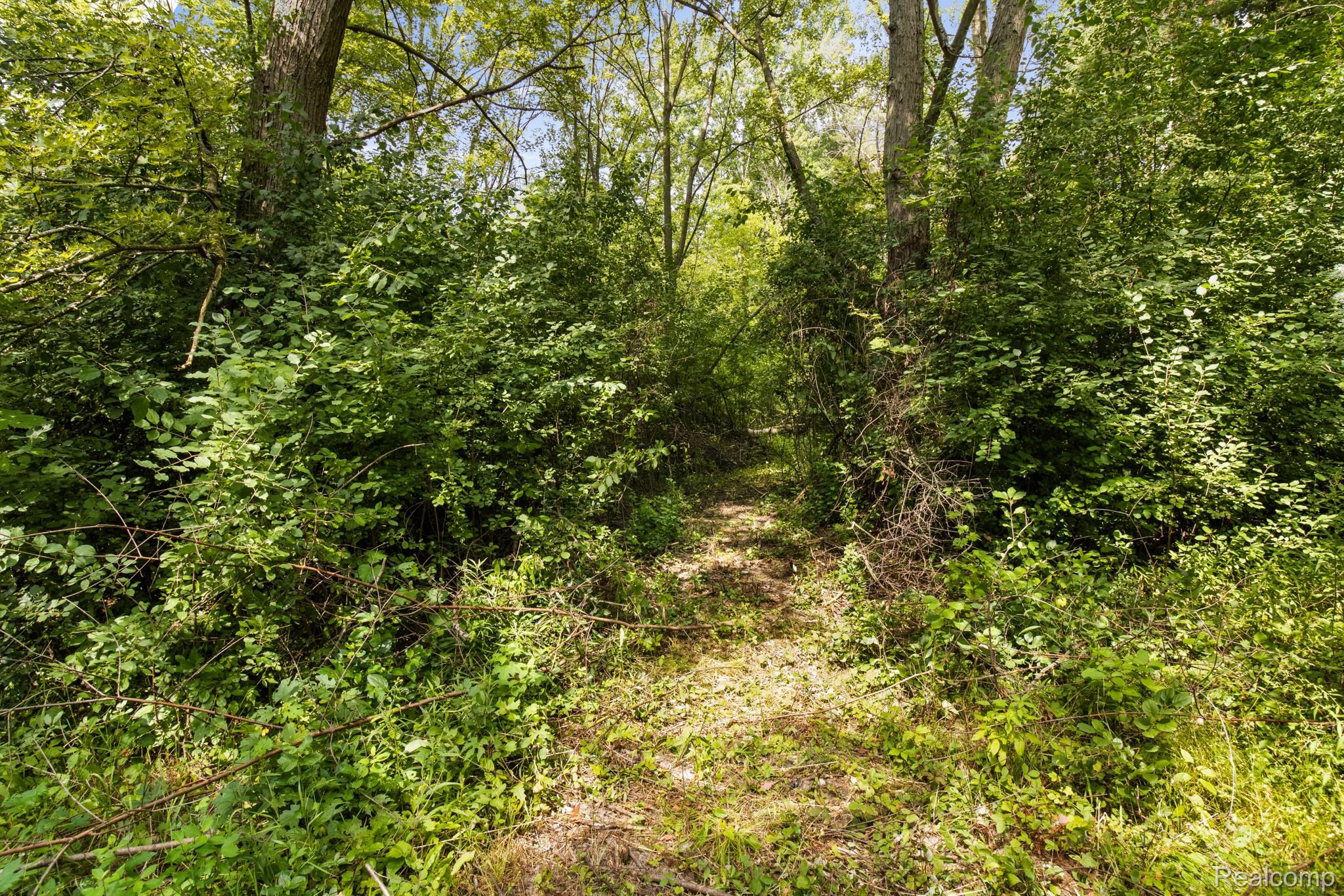 7330 Embury Road Grand Blanc, MI 48439 - Photo 29 of 29 Trails in the back woods.