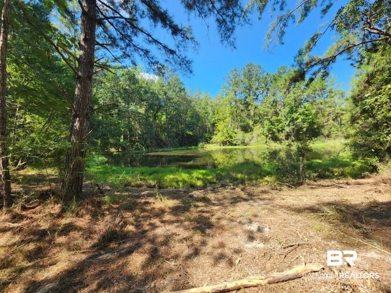 5560 Travis Road Brewton, AL 36426 - Photo 6 of 12