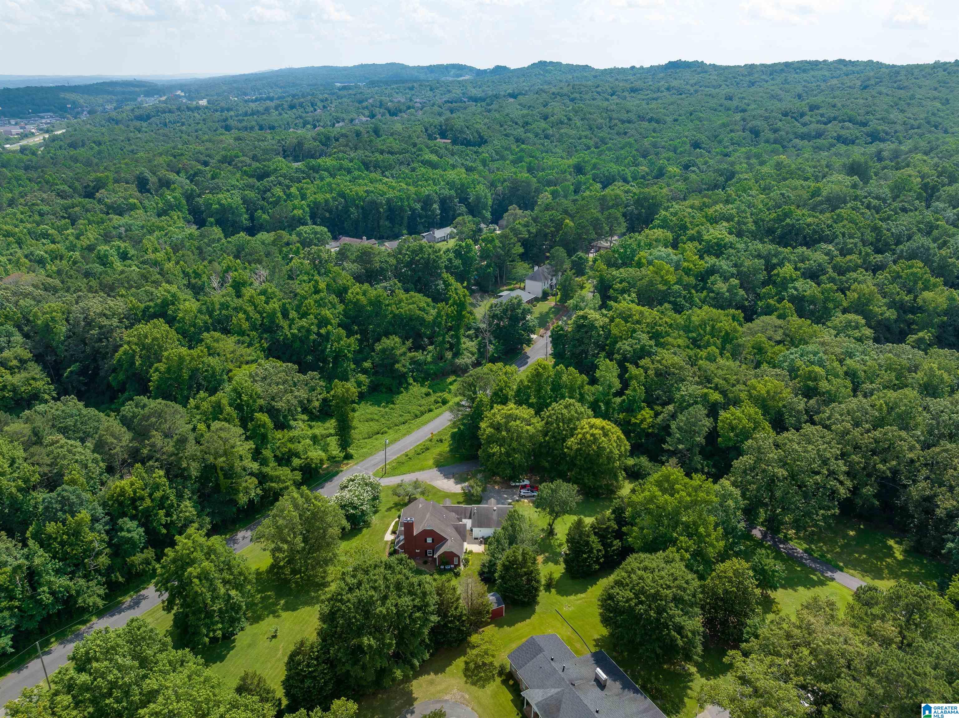 4562 Martin Wilson Road Trussville, AL 35173 - Photo 35 of 42