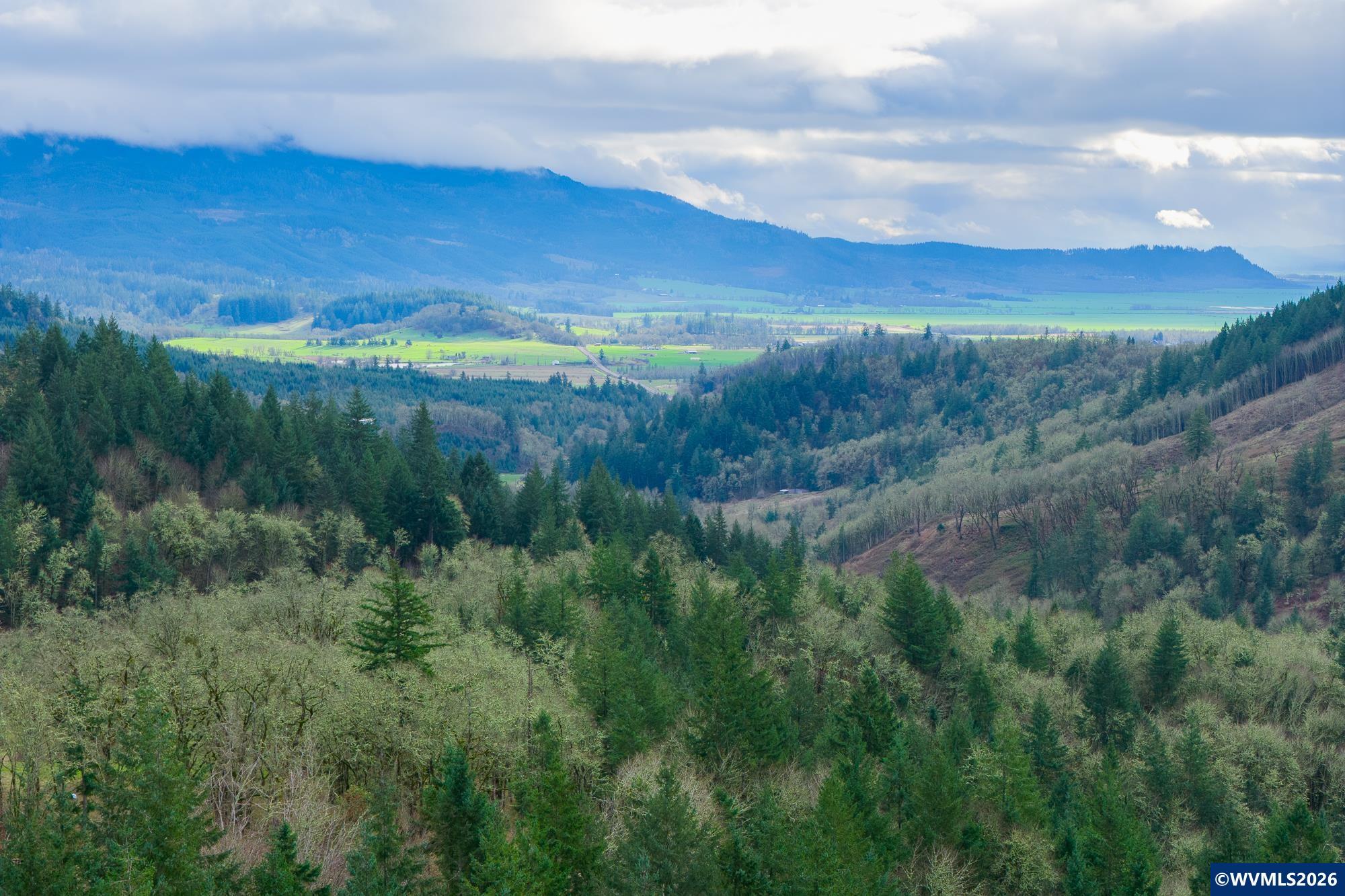 24869 Gap Road Brownsville, OR 97327 - Photo 5 of 50