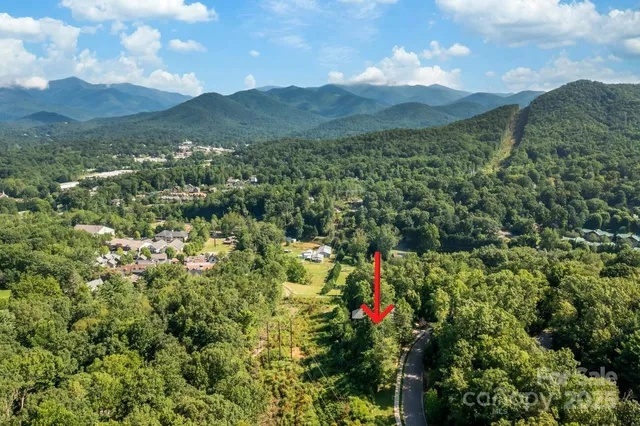 a view of a lush green forest with mountains in the background