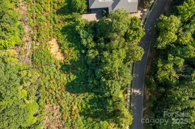 a picture of flowers