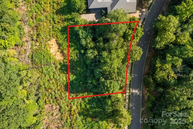 a view of a lush green forest with lots of trees
