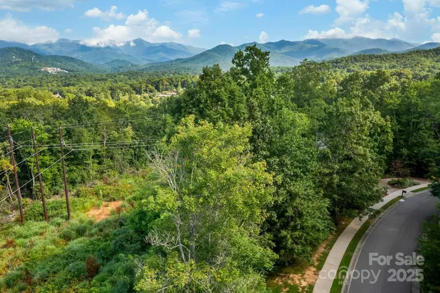 a view of a lush green forest with mountains in the background