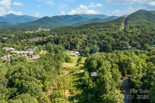 a view of a lush green forest with a mountain
