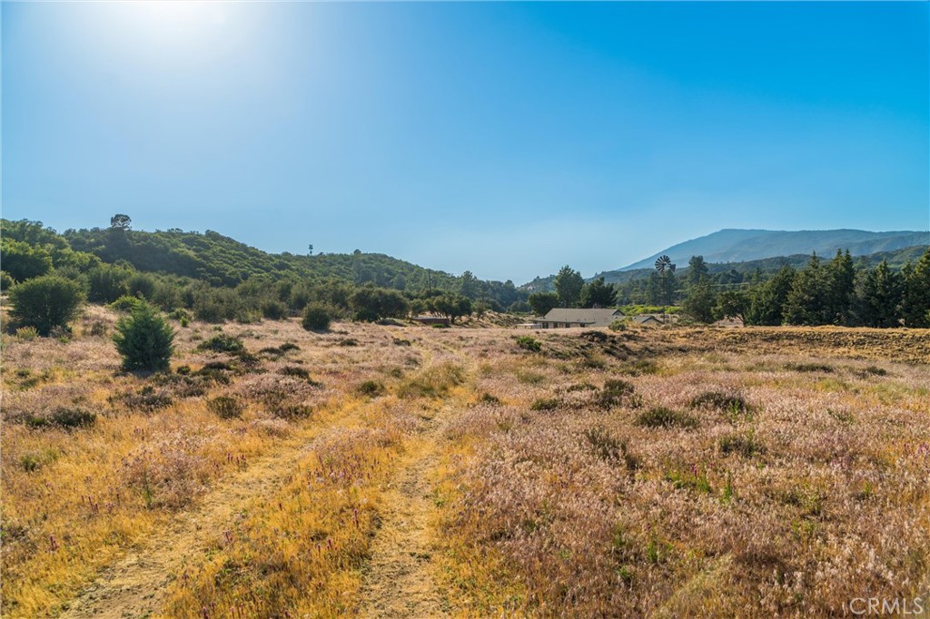 60861 Burnt Valley Road Anza, CA 92539 - Photo 52 of 66