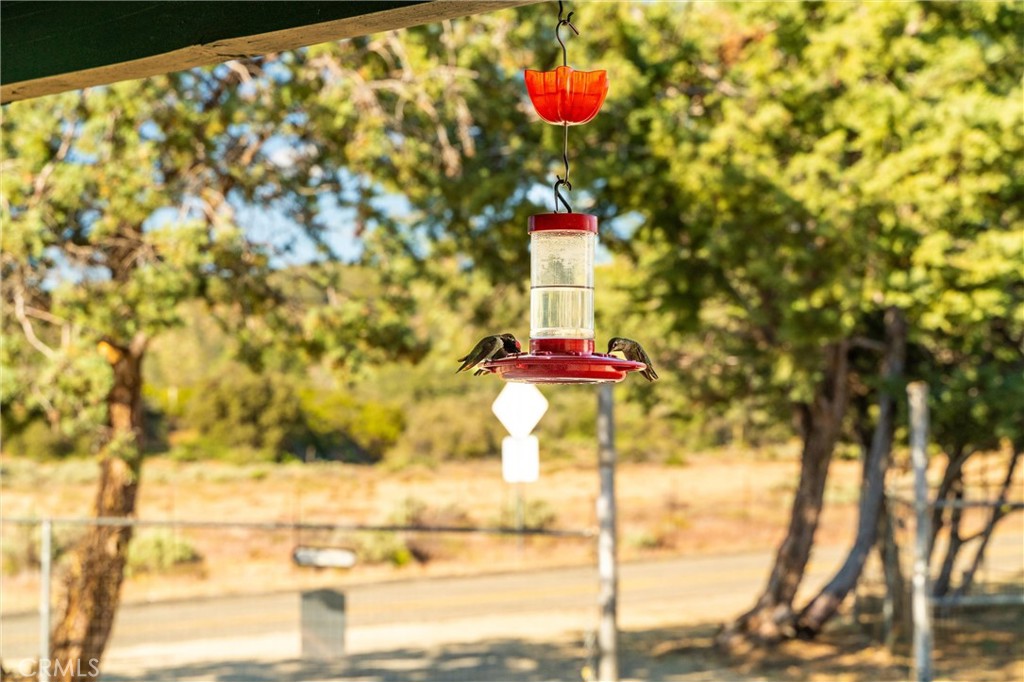 60861 Burnt Valley Road Anza, CA 92539 - Photo 59 of 66