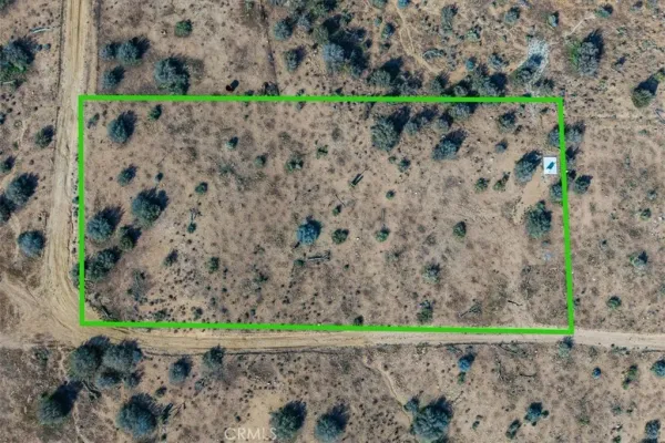 a view of a yard with plants