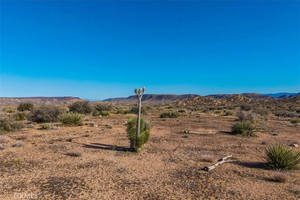 3263 Apache Pioneertown, CA 92268 - Photo 11 of 24 a view of a dry yard with trees