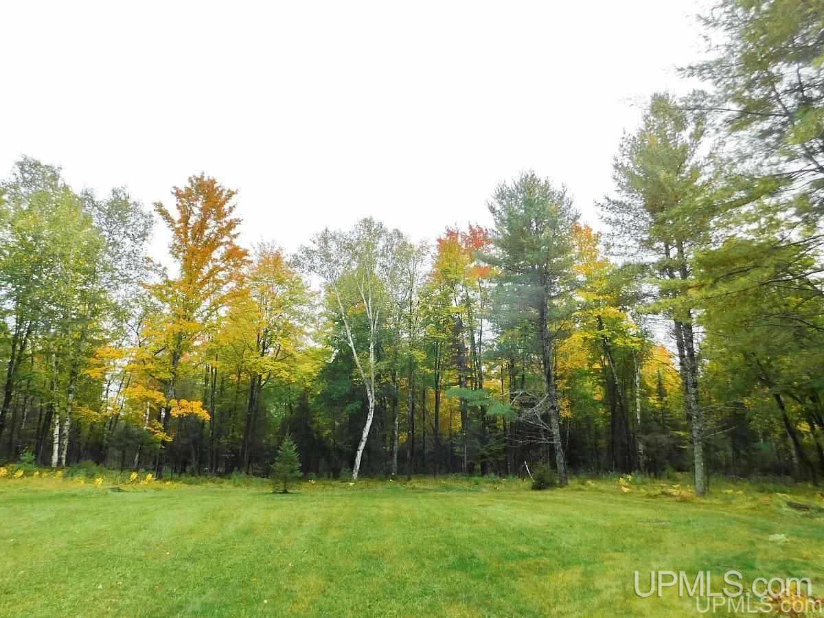 W2217 Cazzola Road Vulcan, MI 49892 - Photo 25 of 27