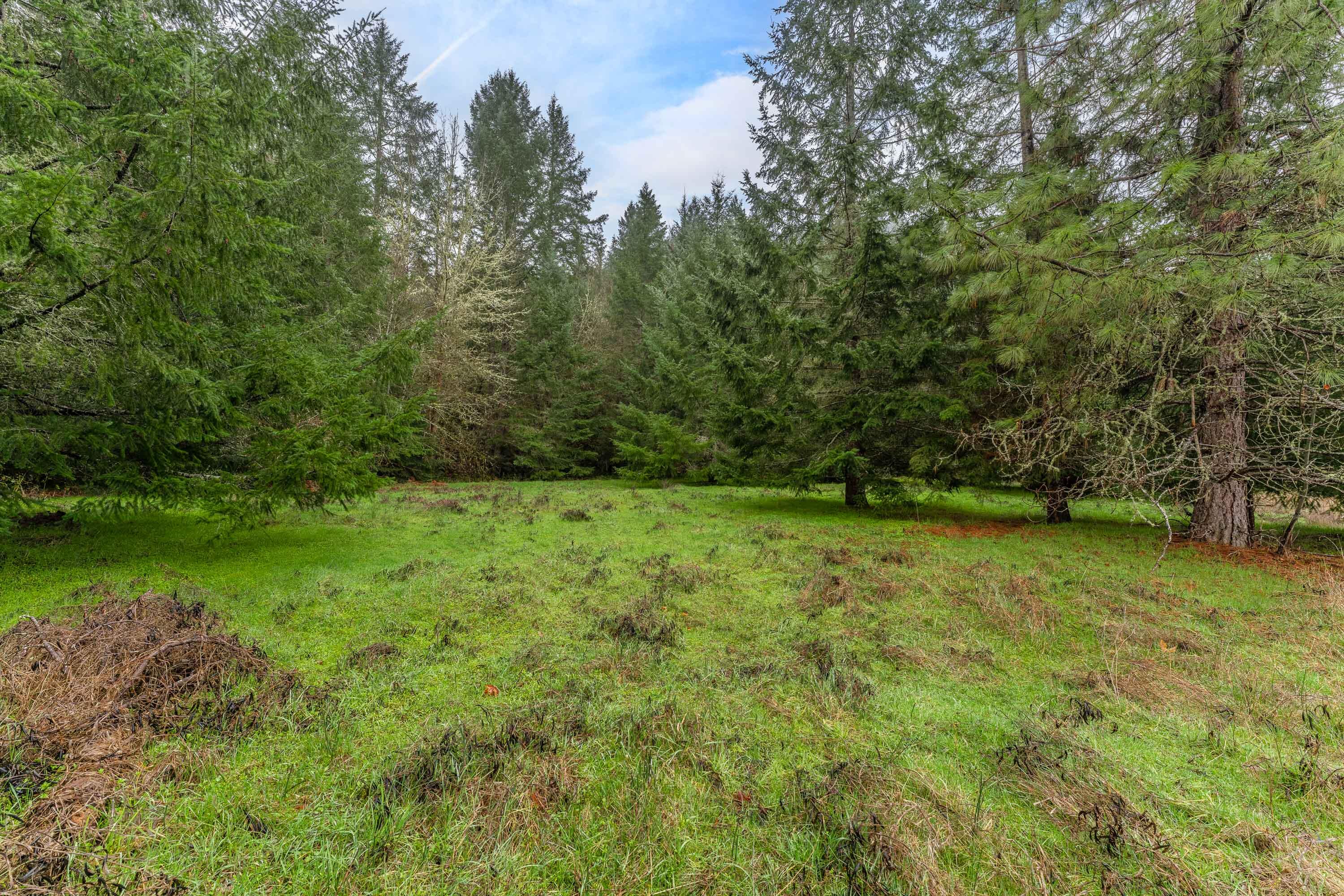 0 Upper Cow Creek Road Azalea, OR 97410 - Photo 22 of 28 EXT2 (18 of 19)
