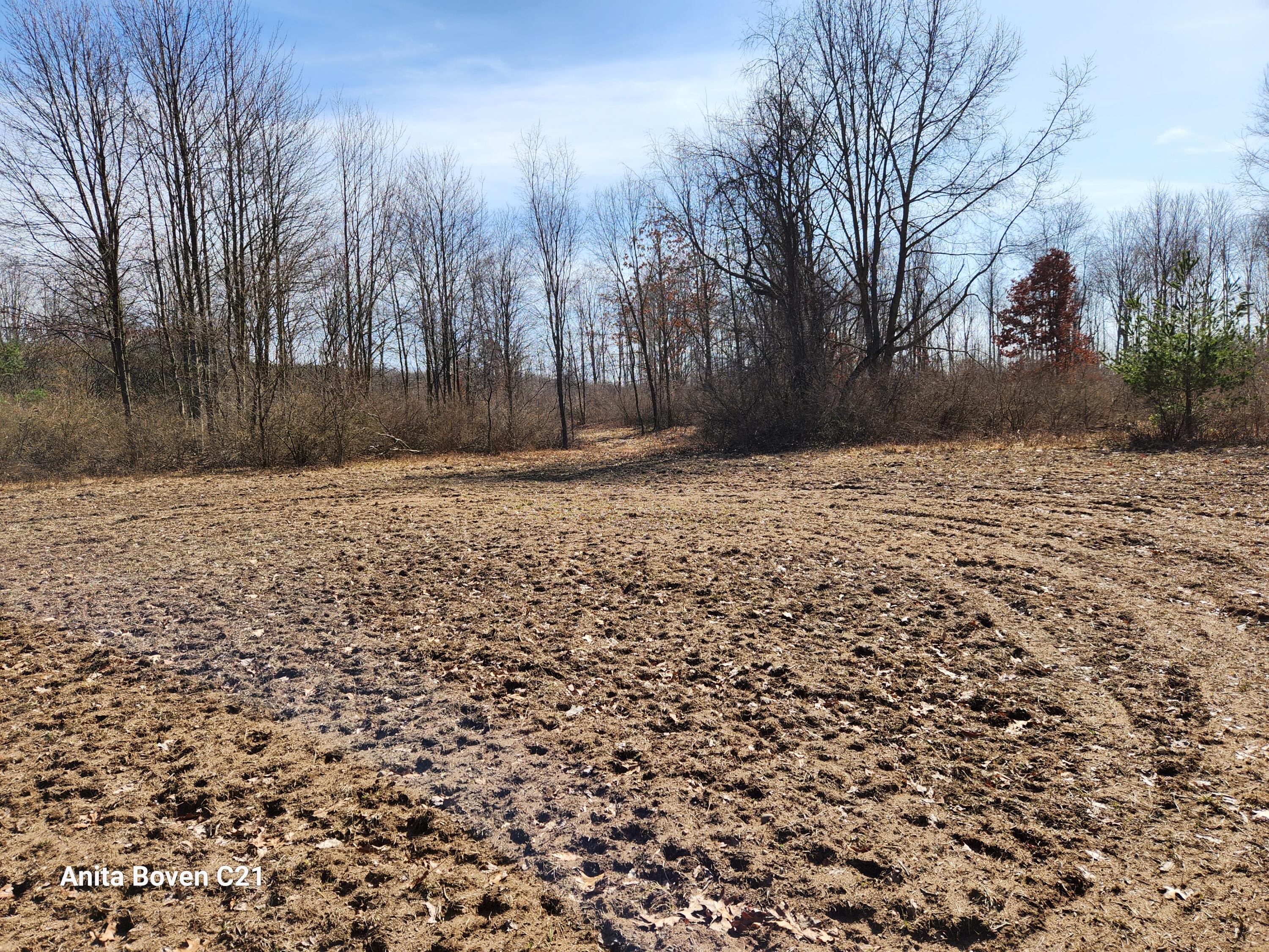 North Sherman Road Lake, MI 48632 - Photo 20 of 27 20240312_145740