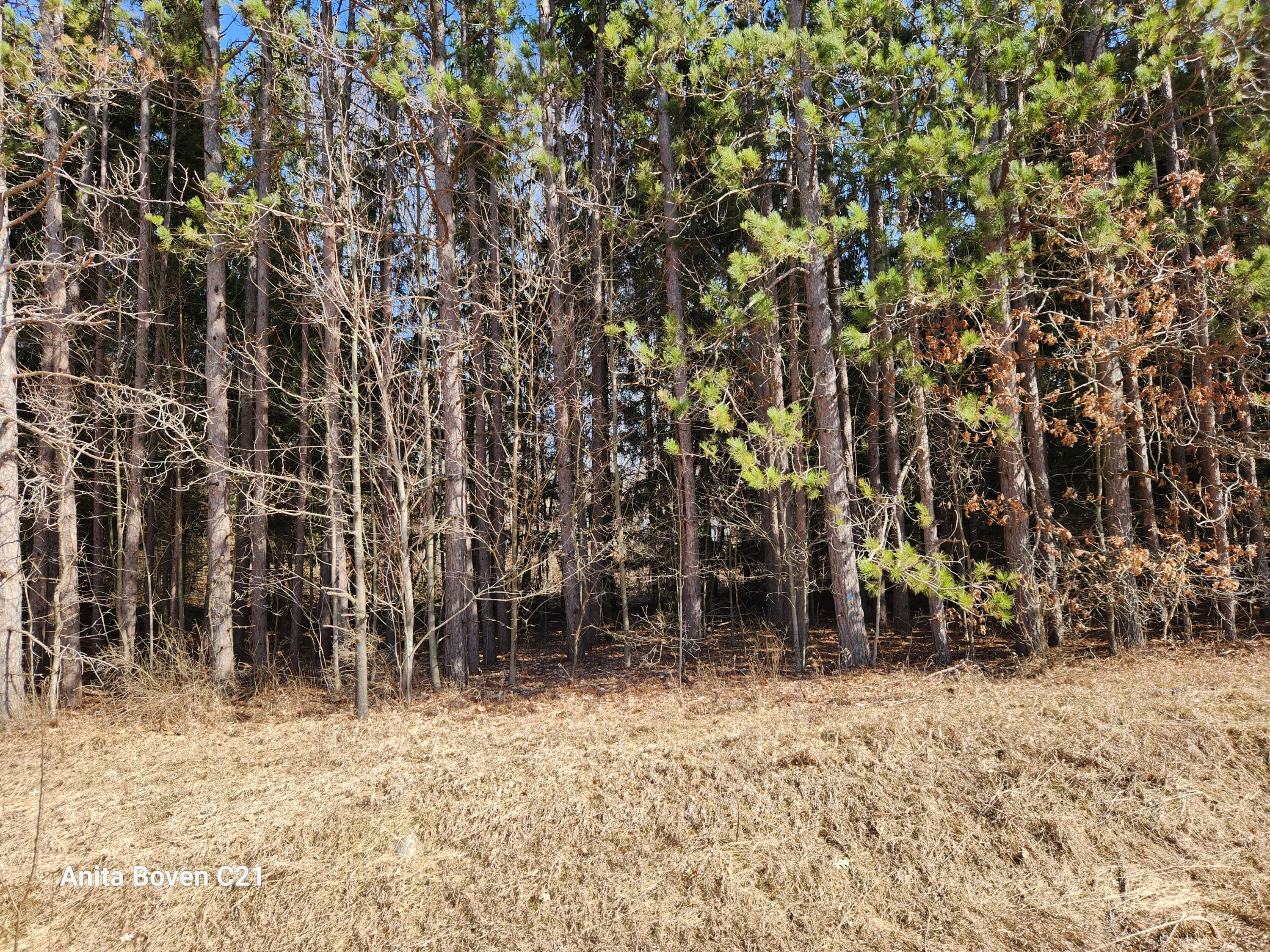 North Sherman Road Lake, MI 48632 - Photo 23 of 27 20240312_150043