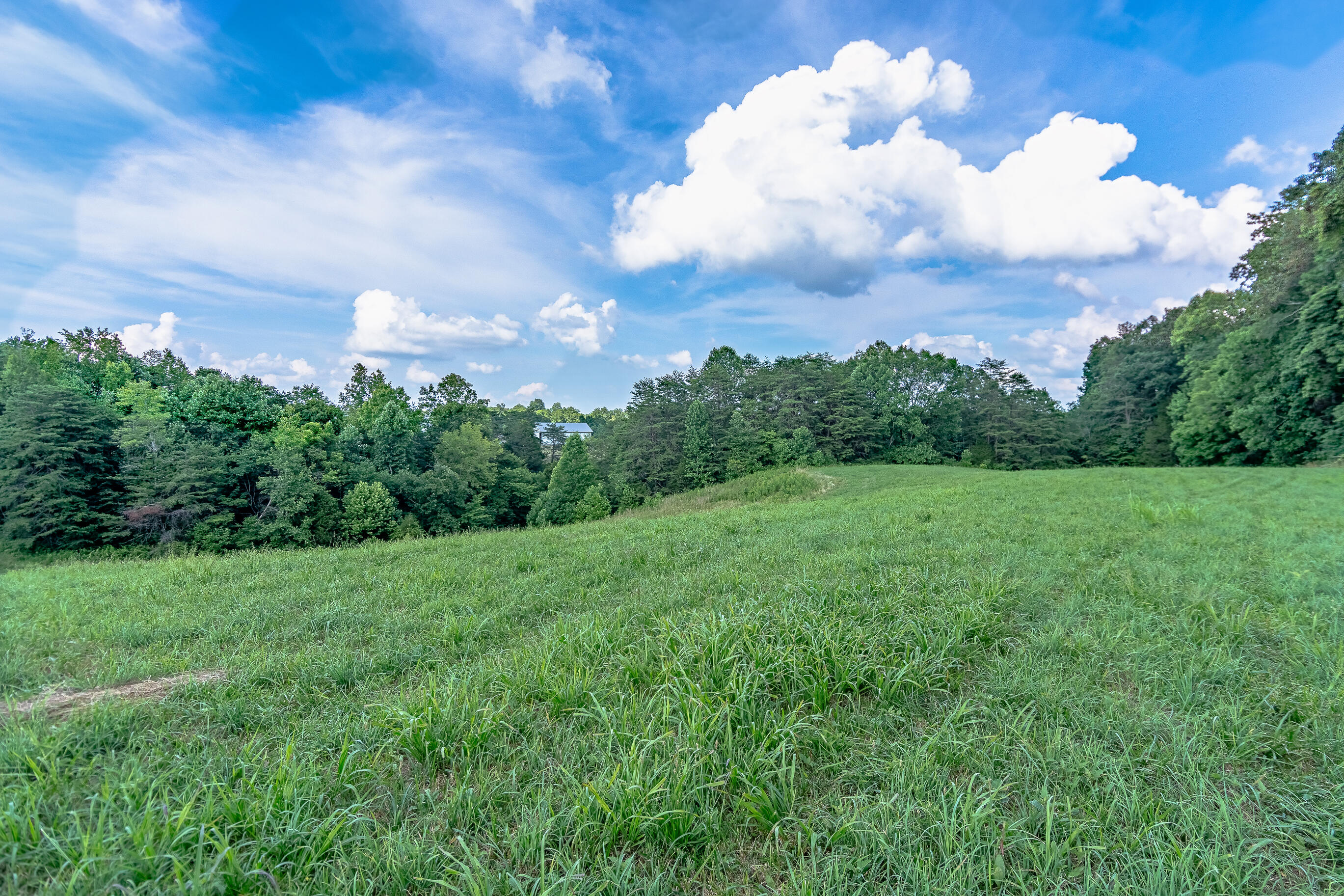 131 Melson Ridge Road Jamestown, KY 42629 - Photo 31 of 71 31