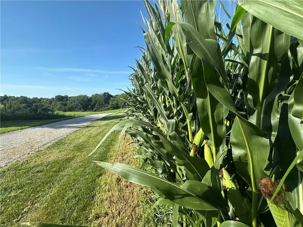 $675,000 | 9226 427th Road, Savannah, MO 64485