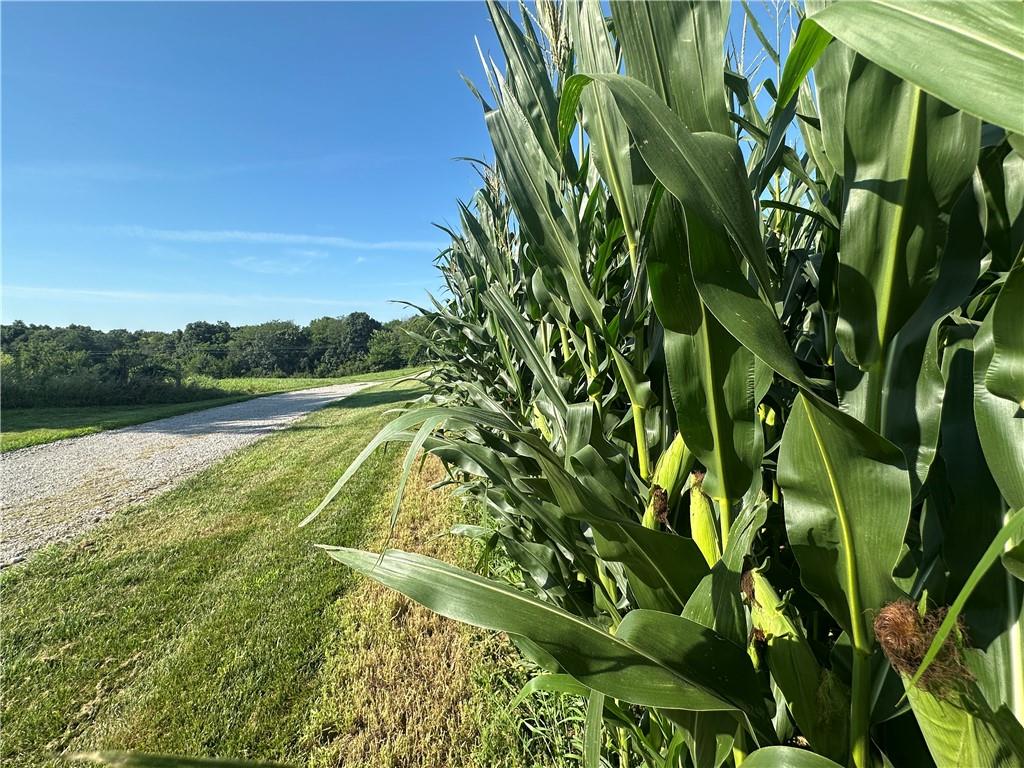 9226 427th Road Savannah, MO 64485 - Photo 27 of 88