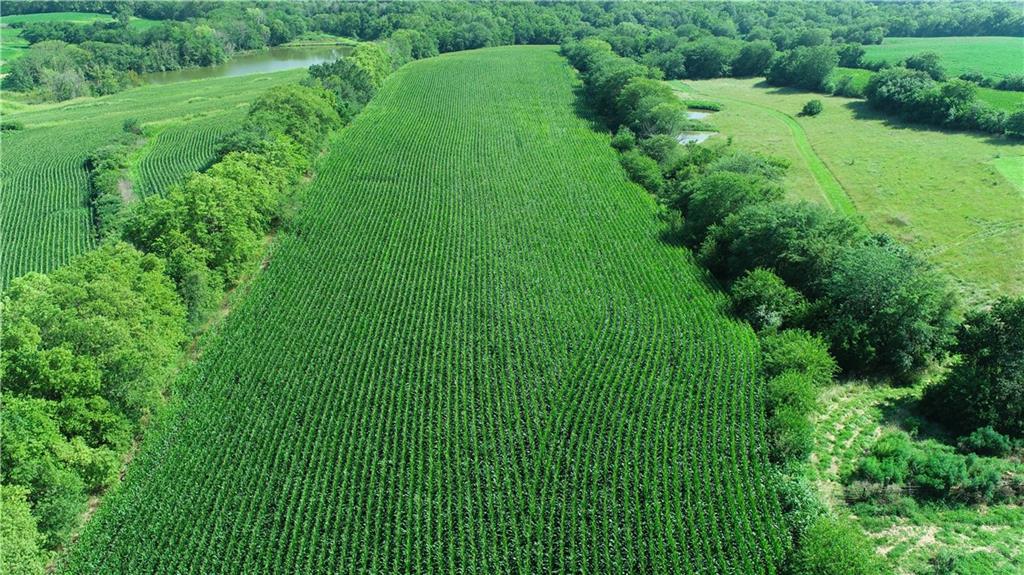 9226 427th Road Savannah, MO 64485 - Photo 3 of 88