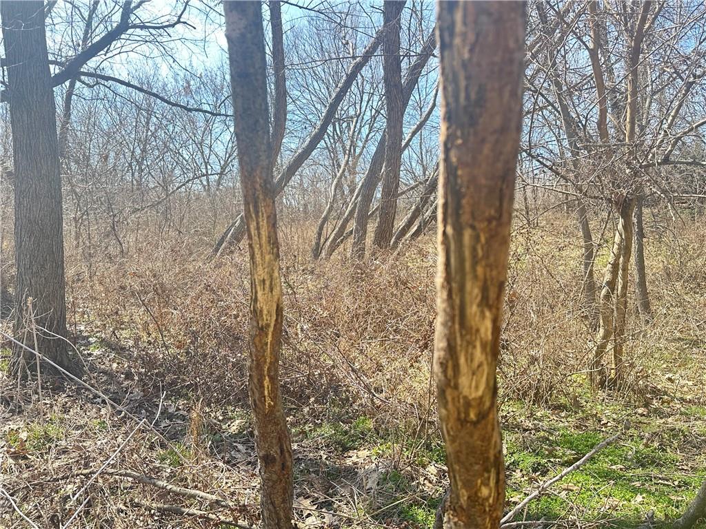 9226 427th Road Savannah, MO 64485 - Photo 34 of 88