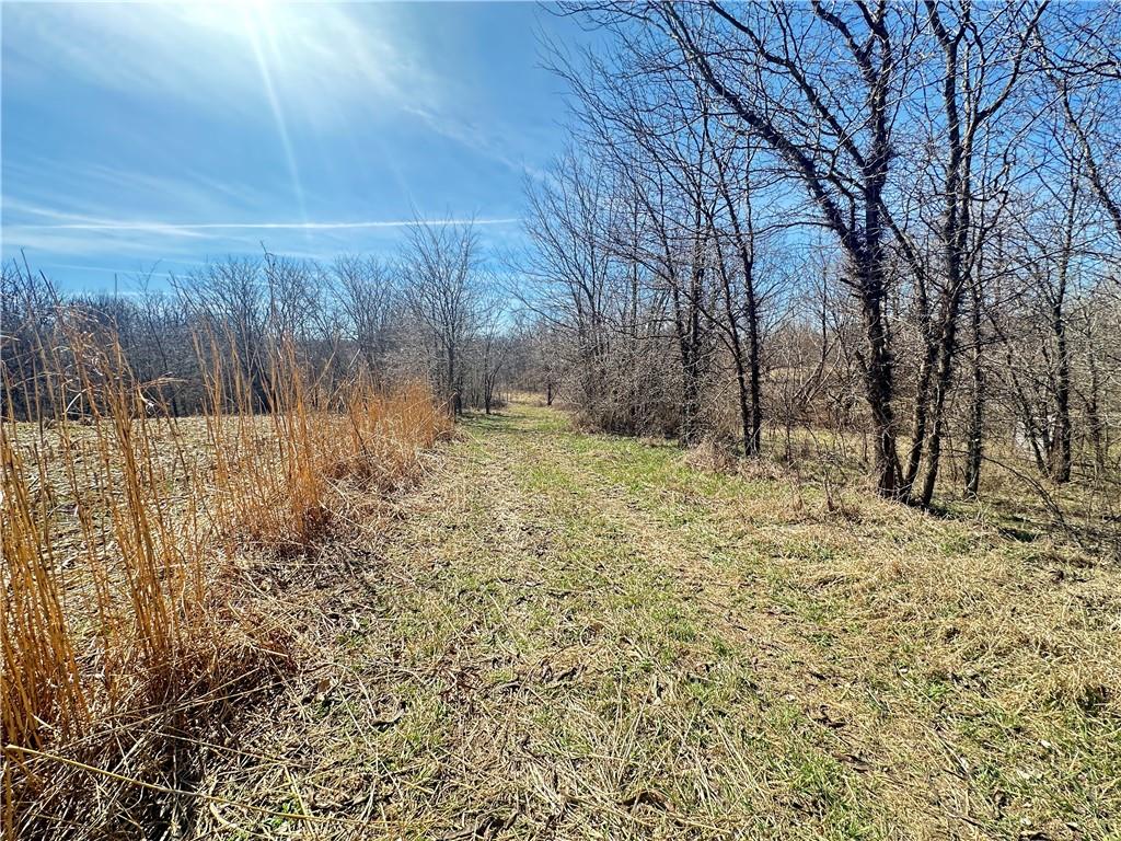 9226 427th Road Savannah, MO 64485 - Photo 35 of 88