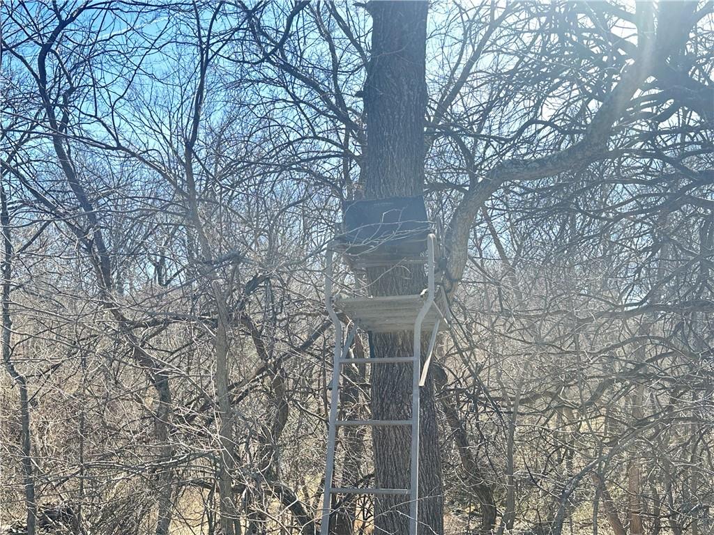 9226 427th Road Savannah, MO 64485 - Photo 36 of 88