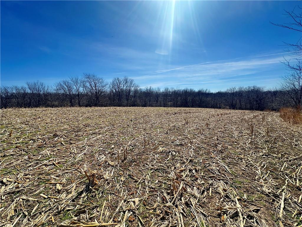 9226 427th Road Savannah, MO 64485 - Photo 37 of 88